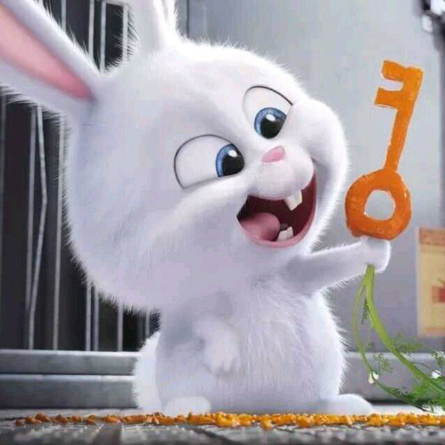 HELLO WORLD